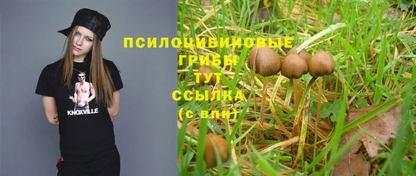 jwh Арсеньев